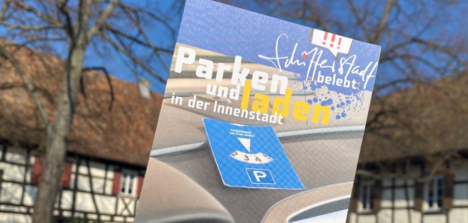 Flyer vor blauem Himmel im Adlerhof